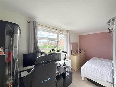 Picture 12